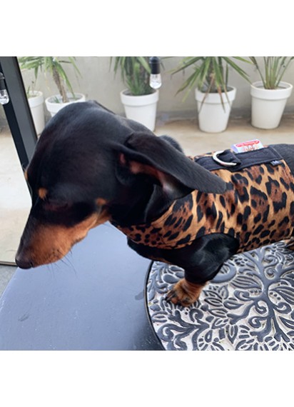 Easyfit Dog Harness - Size XS